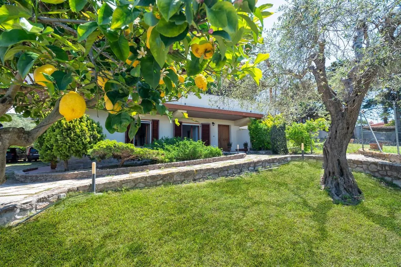 Villa Surrounded By Centuries-Old Olive Trees アルゲーロ